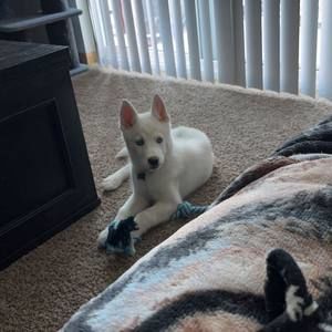 Meet your Posher, Breanna